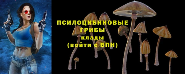 ALPHA-PVP Алексеевка