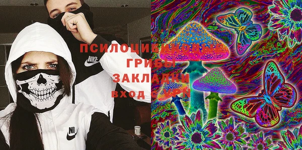 крисы Алексин