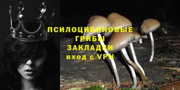 соль ск Алзамай