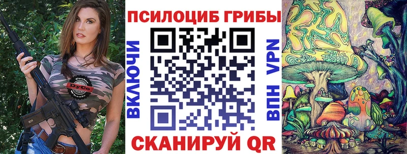 Псилоцибиновые грибы Psilocybe  shop какой сайт  Лобня 