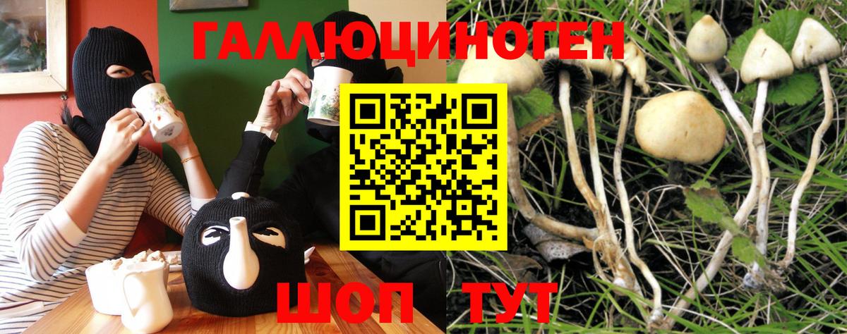 Галлюциногенные грибы Magic Shrooms  Вход с VPN  Лобня 
